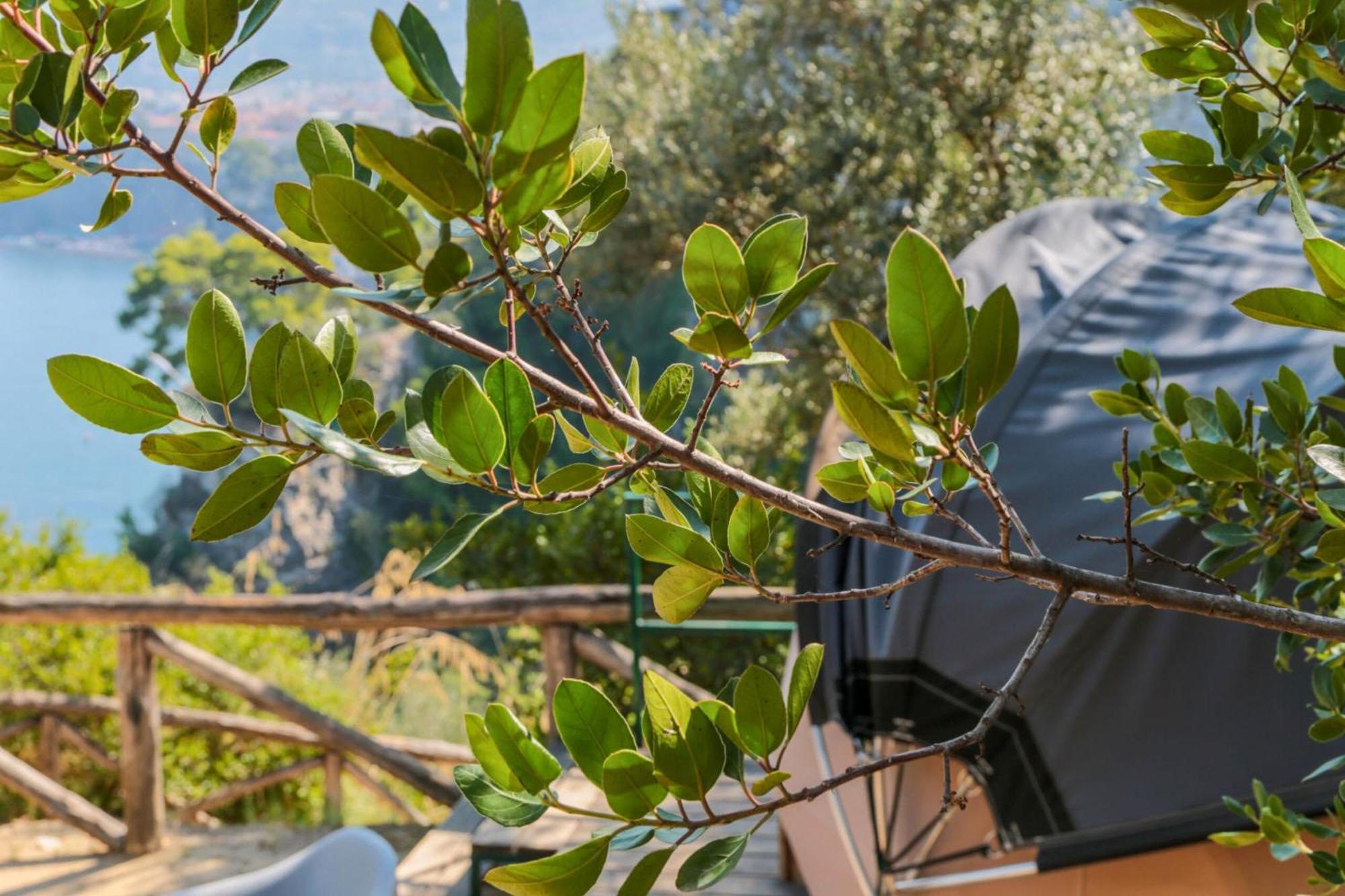 Hostel & Glamping Santa Fortunata Sorrente Extérieur photo